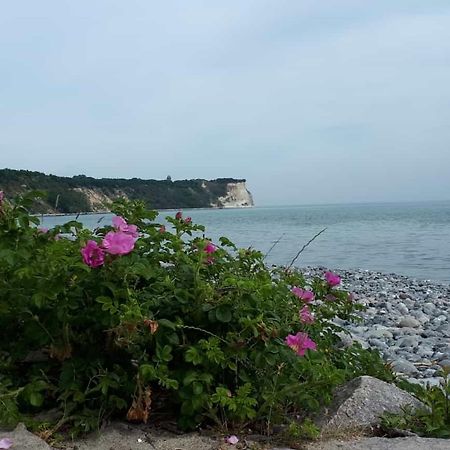 Hering Fewo I Apartment Terrace Wiek auf Ruegen Ngoại thất bức ảnh